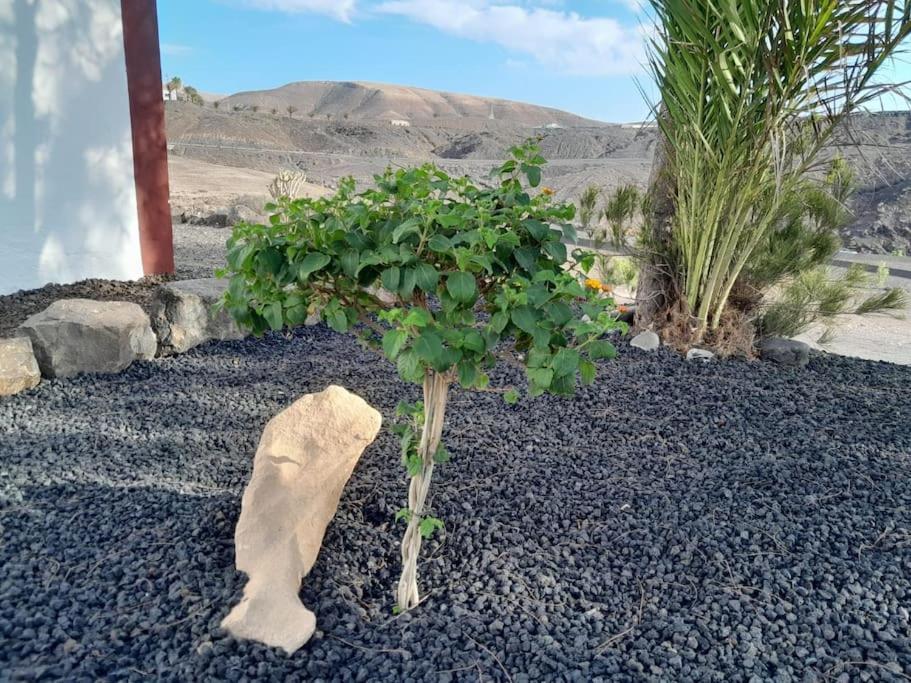 הוילה Pájara Casagrande Sunset II - Fuerteventura - Costa Calma מראה חיצוני תמונה